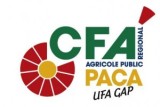 UFA de Gap