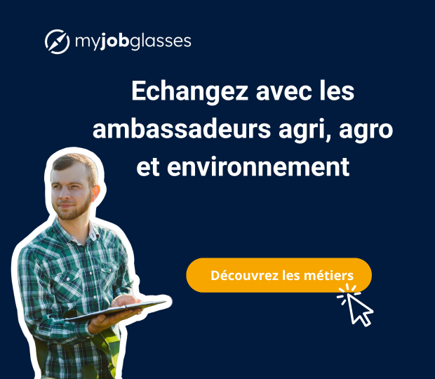 Pavé My job glasses