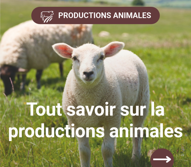 Filière Productions animales 2026