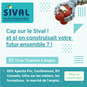 Sival 2026