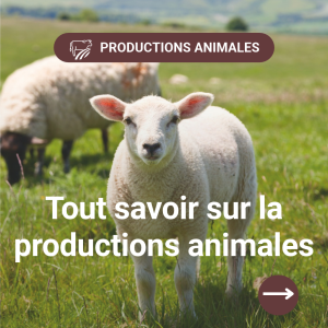 Filière Productions animales 2026